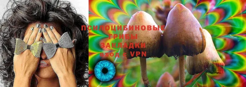 Галлюциногенные грибы Psilocybine cubensis  omg ссылка  Новороссийск 